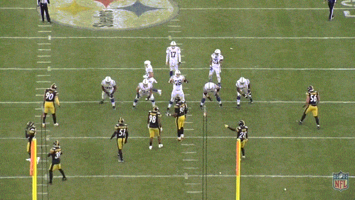 Highsmith 2 GIF